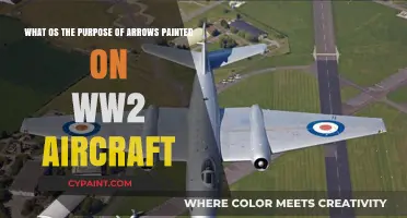 Decoding the Skies: The Strategic Purpose of Arrows on WWII Aircraft