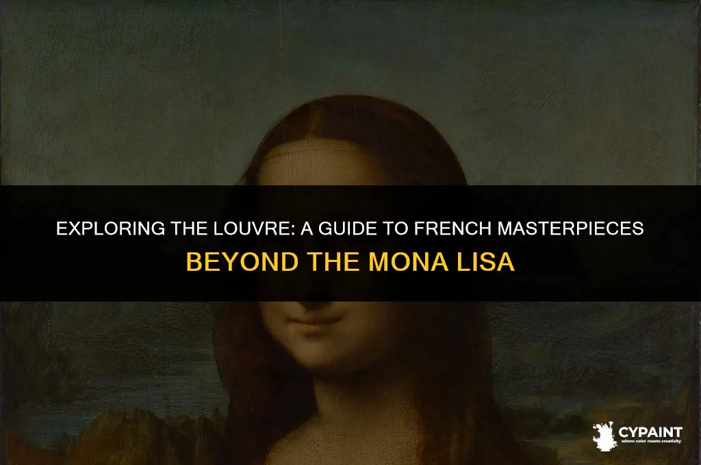 what other french paintings are on display at the louvre