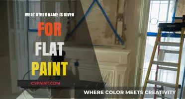 Flat Paint's Alternative Name: Unveiling the Matte Finish Mystery