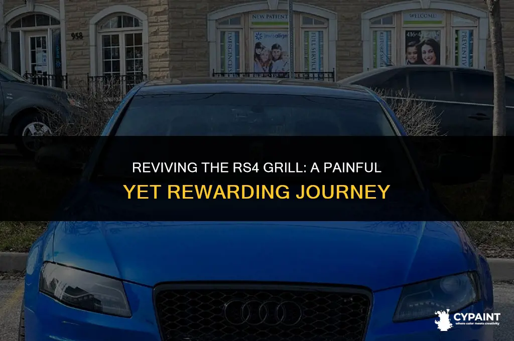 what pain to us to paint crash bar rs4 grill