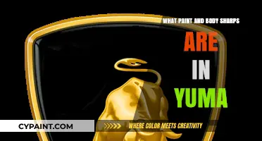 Discover Yuma's Top Paint and Body Shops for Auto Repairs