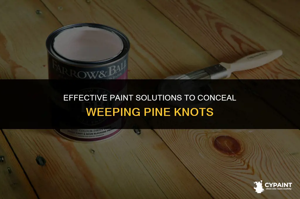 what paint blocks out weeping pine knots bleeding through paint