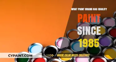 Discovering the Timeless Quality Paint Brand Since 1985: A Review