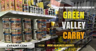 Exploring Ace Hardware of Green Valley's Premium Paint Selection