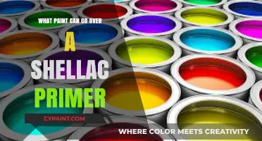 Transform Your Space: Top Paints Compatible with Shellac Primer
