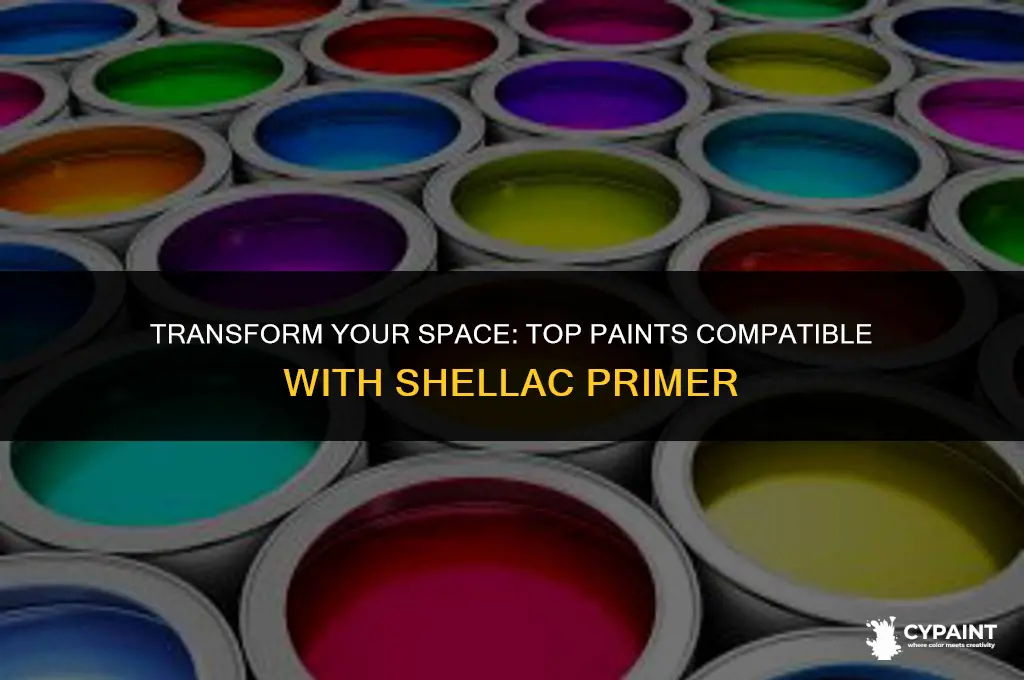 what paint can go over a shellac primer