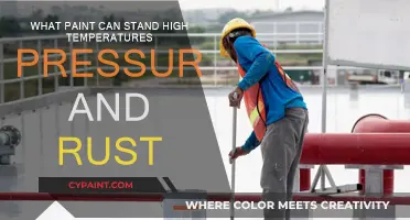 Best Paint for High-Temp, Pressure, and Rust Resistance
