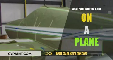 Sky-High Creativity: The Essential Guide to Flying with Paint