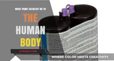 Paint Catalysts: Unveiling Their Hidden Impact on Human Health