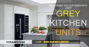 Light Grey Kitchen Units: Best Paint Color Combos