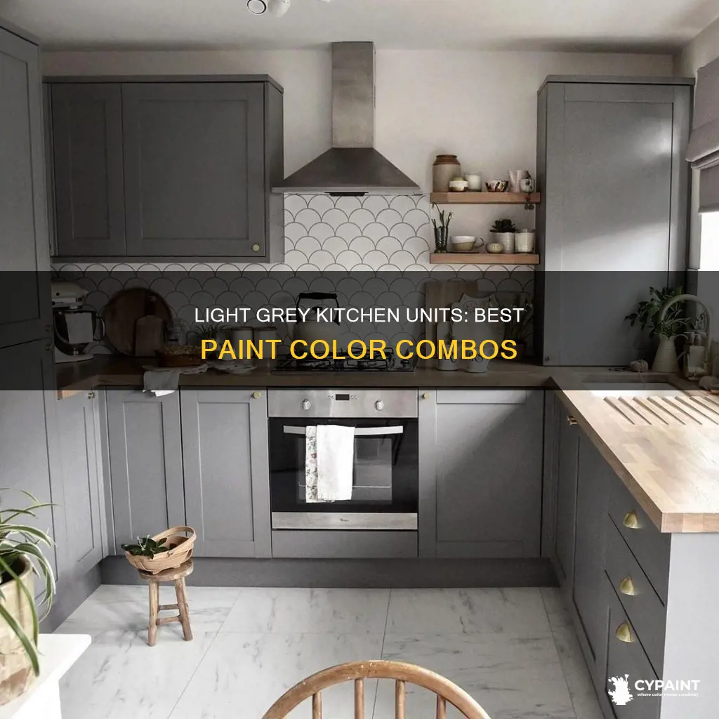 what paint colour goes with light grey kitchen units