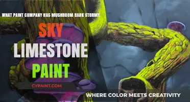 Exploring Mushroom Bark Stormy Sky Limestone Paint: A Comprehensive Guide