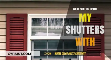 Best Paint Options for Durable and Stylish Exterior Shutter Makeover