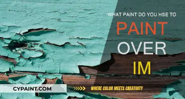 Best Paints to Cover Imperfections