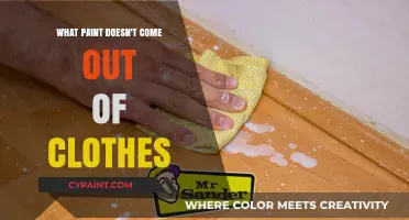 Stubborn Stains: Which Paint Types Resist Laundry Removal?