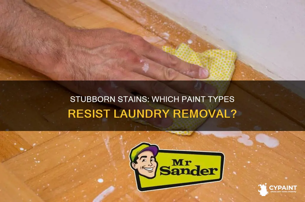 what paint doesn