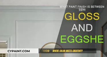 Gloss, Semi-Gloss, and Eggshell: What's the Best Paint Finish?