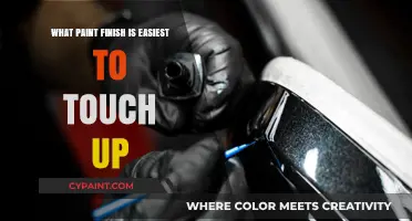 Easiest Paint Finish for Touch-Ups: A Homeowner's Guide to Quick Fixes