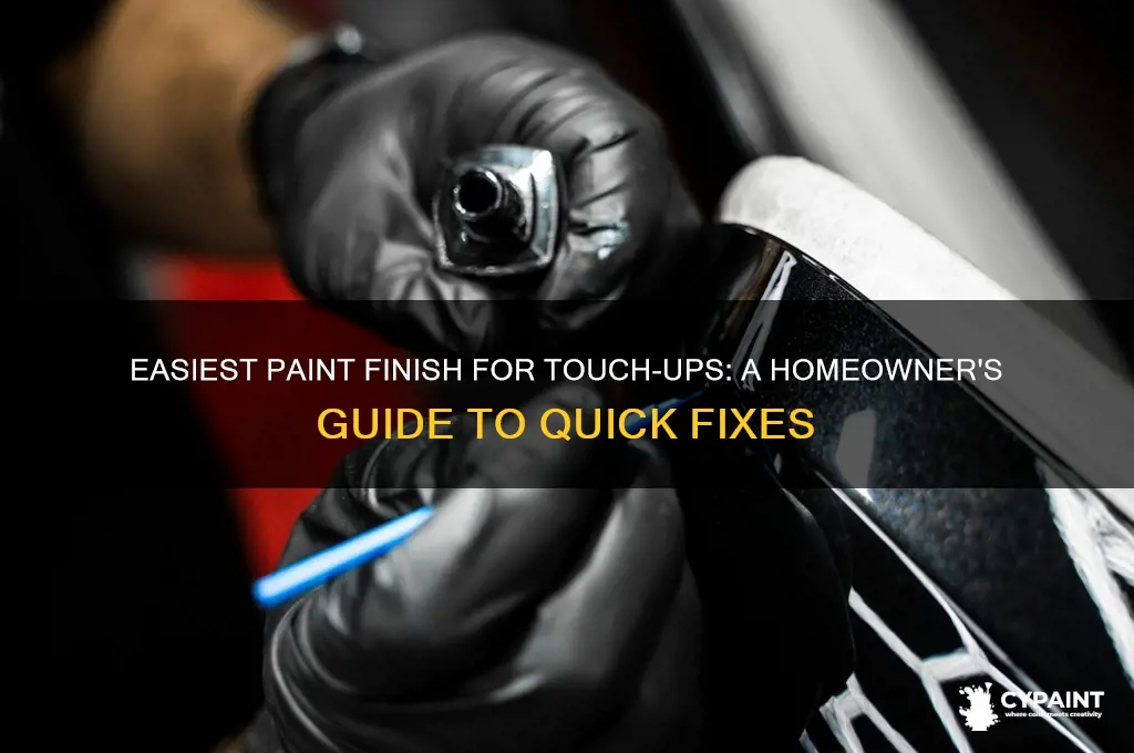 what paint finish is easiest to touch up