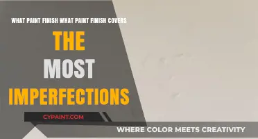 The Ultimate Guide to Paint Finishes: Imperfection Coverage Edition