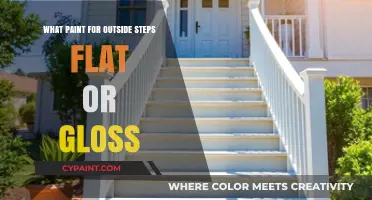 Flat or Gloss Paint: Best Choice for Outdoor Steps Durability