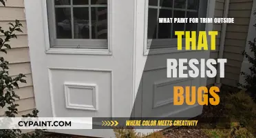 Best Bug-Resistant Exterior Trim Paint Options for Your Home