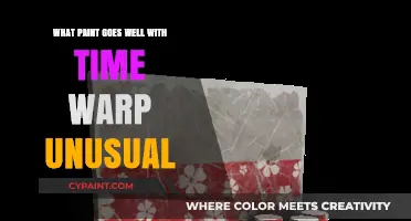 Best Paint Colors to Complement Time Warp Unusual in Your Space
