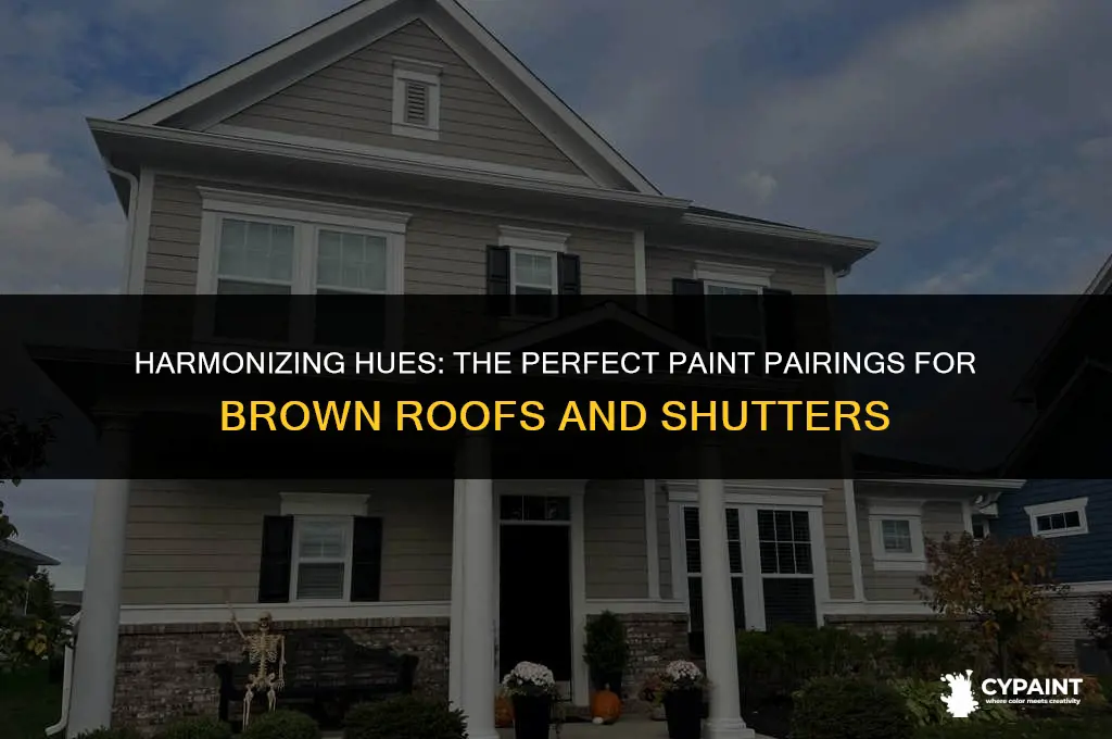 what paint goes with a brown roof and brown shutters