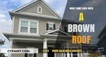 Perfect Paint Colors to Complement Your Brown Roof: Expert Tips