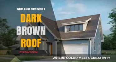 Best Paint Colors to Complement Your Dark Brown Roof: Expert Tips