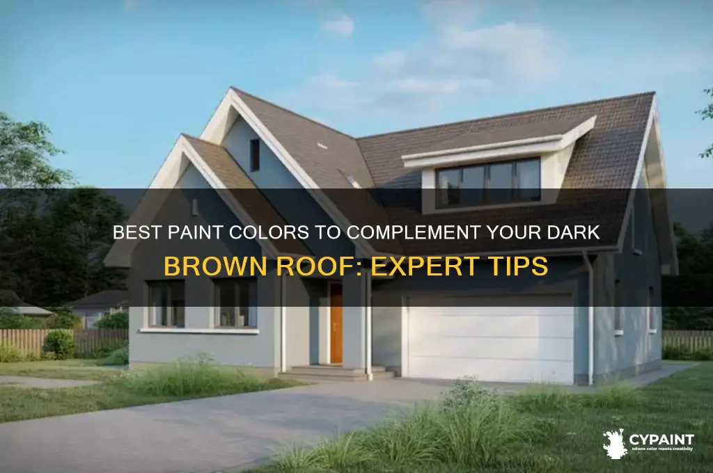 what paint goes with a dark brown roof