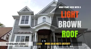 Best Paint Colors to Complement Your Light Brown Roof