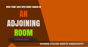 Harmonizing Hues: The Perfect Paint Pairings for Burnt Orange
