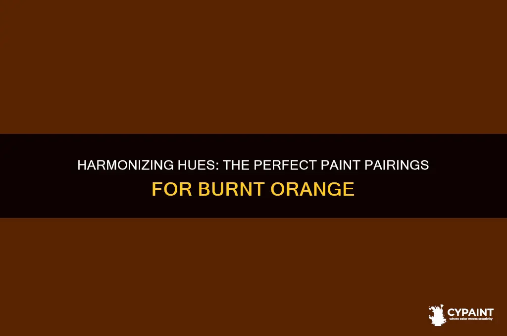 what paint goes with burnt orange in an adjoining room