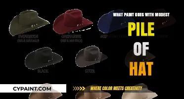 Choosing the Perfect Paint to Complement Your Modest Pile of Hats