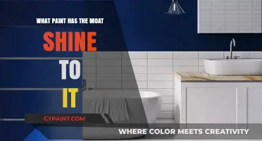 Discover the Glossiest Paint: Which Finish Shines Brightest?