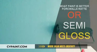 Matte vs Semi-Gloss: Which Paint Finish is Best for Your Walls?