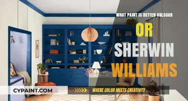 Valsoar vs. Sherwin-Williams: Which Paint Brand Reigns Supreme?
