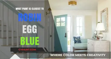 Discover the Perfect Paint Match for Robin Egg Blue
