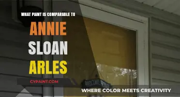 Discover Arles Alternatives: Comparable Chalk Paint Brands to Annie Sloan