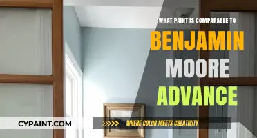 Top Alternatives to Benjamin Moore Advance Paint for Smooth Finishes