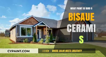 Understanding ISRD Paint: Benefits and Uses for Ceramic Surfaces