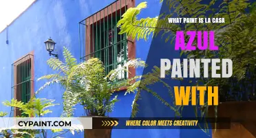 Exploring the Vibrant Paint Colors of Frida Kahlo's La Casa Azul