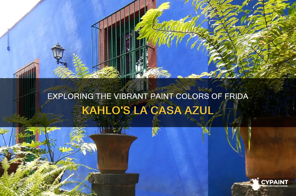 what paint is la casa azul painted with
