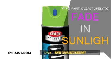 Best Paints to Withstand Sunlight and Prevent Fading