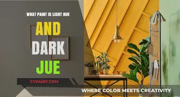 Exploring Light and Dark Hues: Choosing the Perfect Paint for Your Space