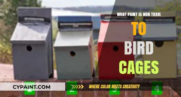 Safe Bird Cage Painting: Non-Toxic Paint Options for Avian Health