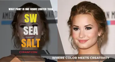 Discover the Perfect Paint Shade: One Step Lighter Than SW Sea Salt