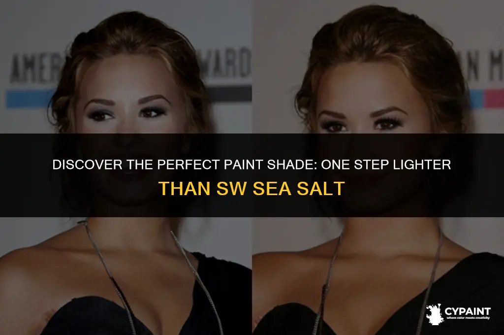 what paint is one shade lighter than sw sea salt