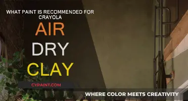 Best Paint Options for Crayola Air-Dry Clay Creations